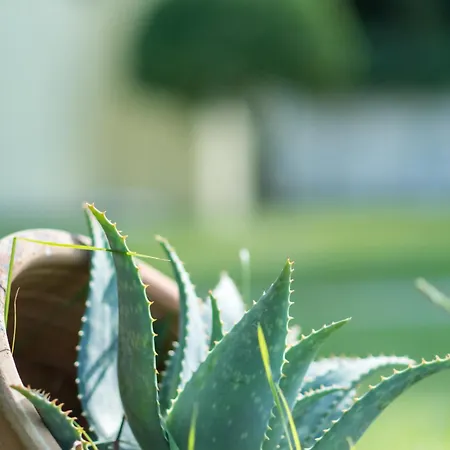 Aparthotel Helion Gouvia